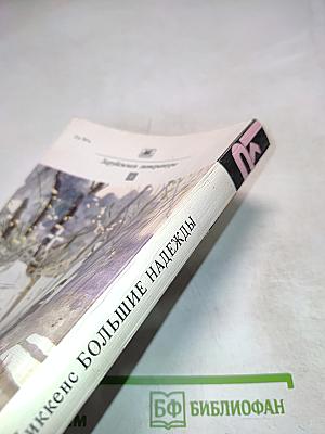 Большие надежды