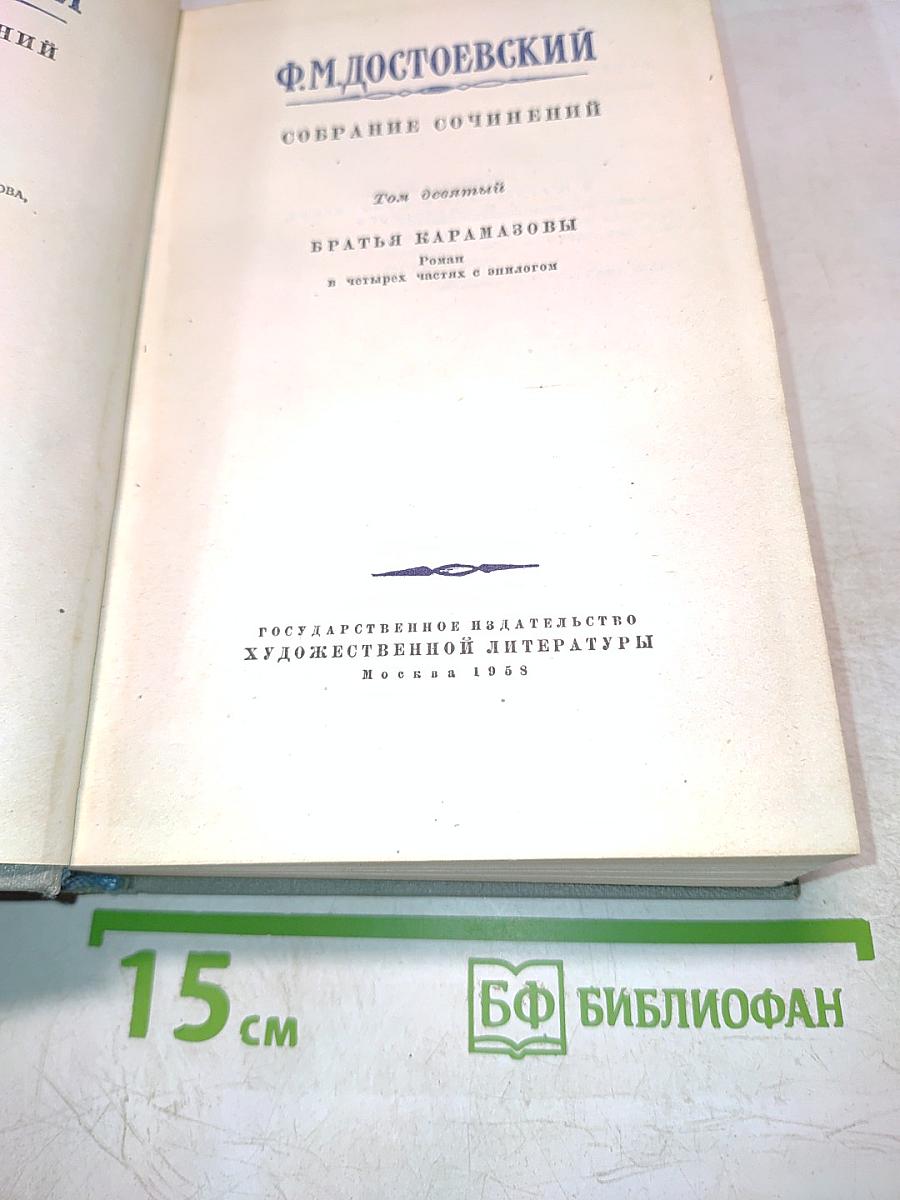 Братья Карамазовы. Том десятый