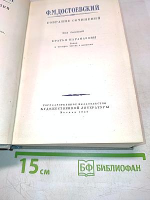 Братья Карамазовы. Том десятый