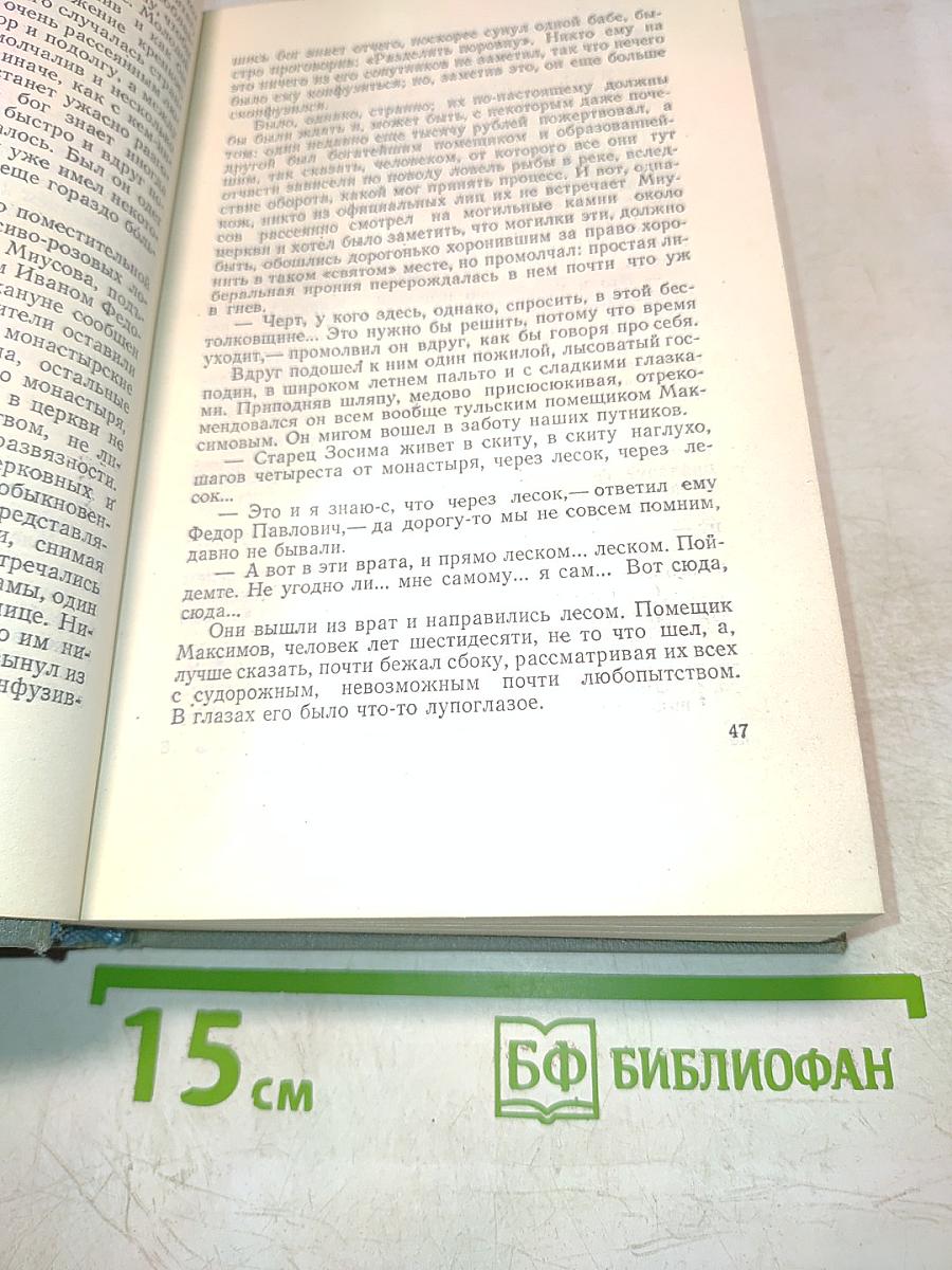 Братья Карамазовы. Том десятый