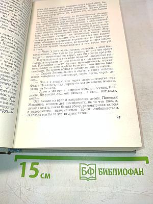 Братья Карамазовы. Том десятый