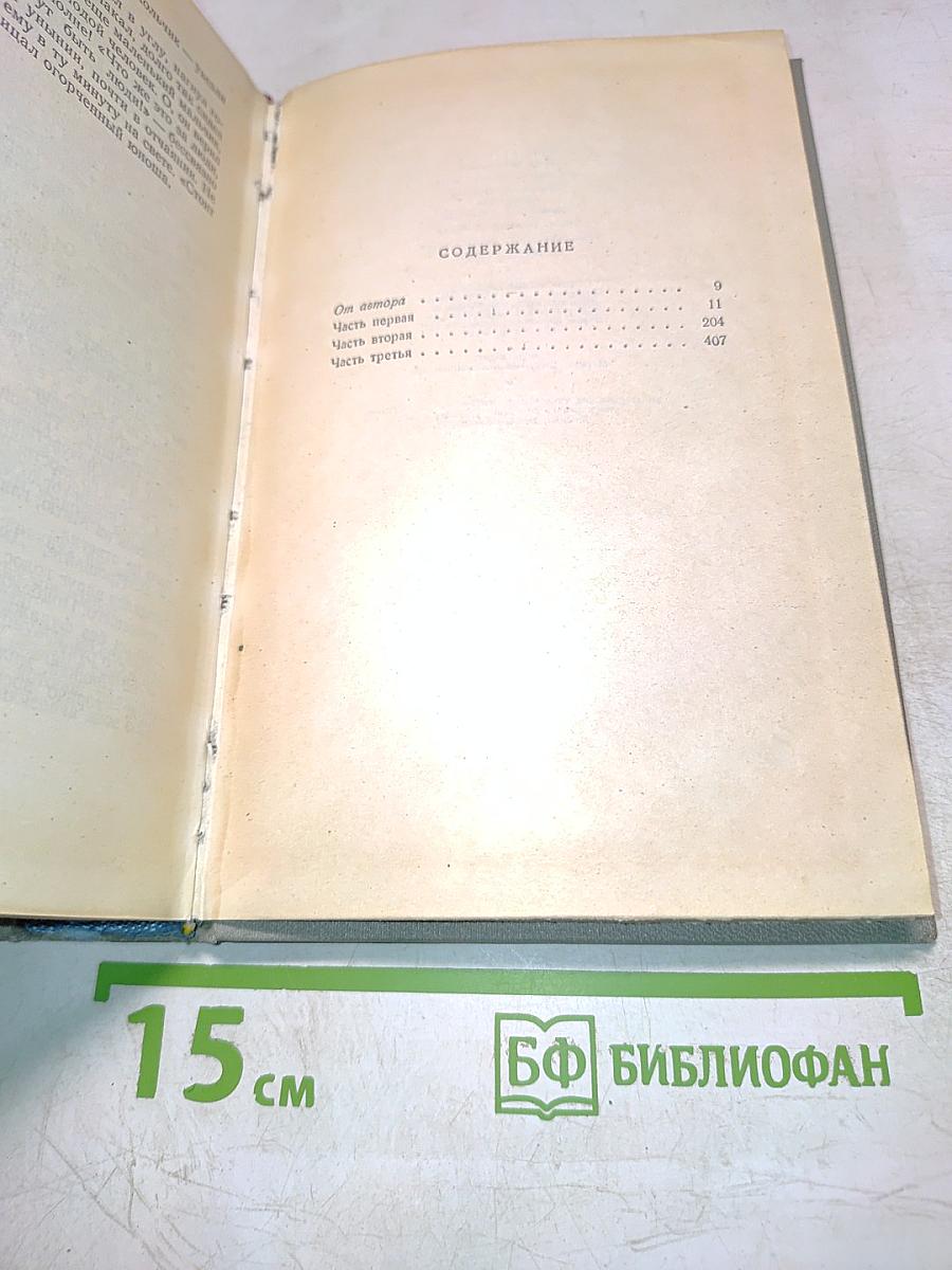 Братья Карамазовы. Том десятый