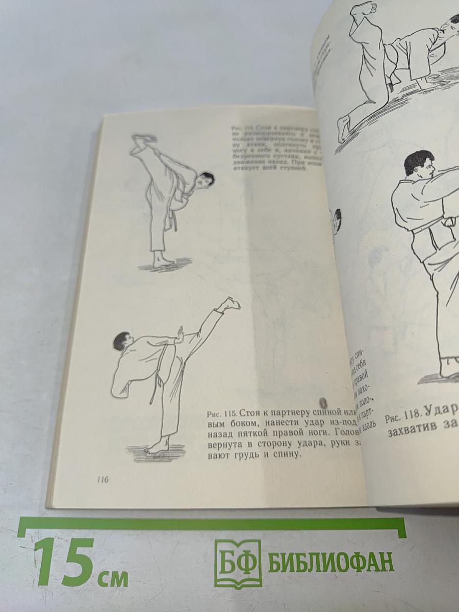 Первый шаг к кунг-фу