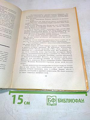 Неоновые джунгли