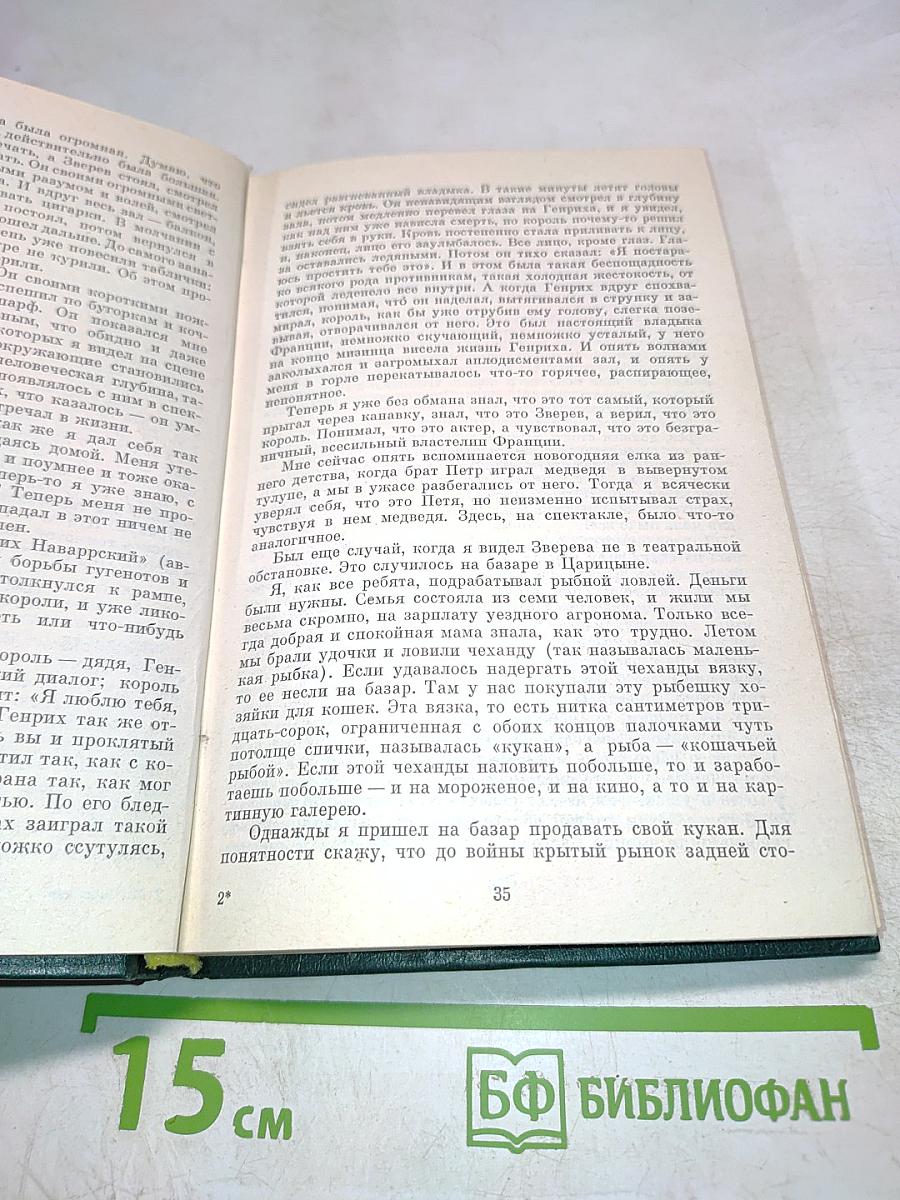 Монолог под занавес