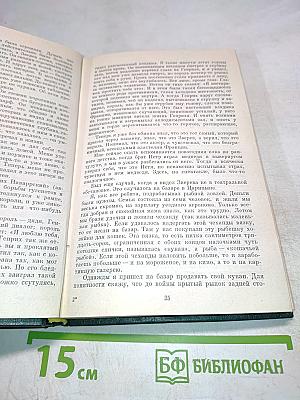 Монолог под занавес