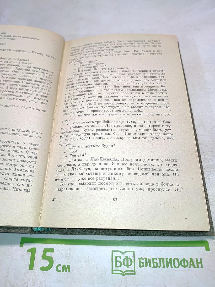 Последняя женщина и близкий бой