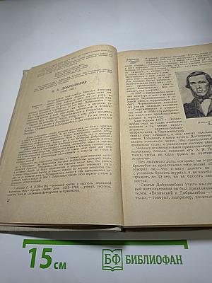 Русская литература. Учебник для средней школы