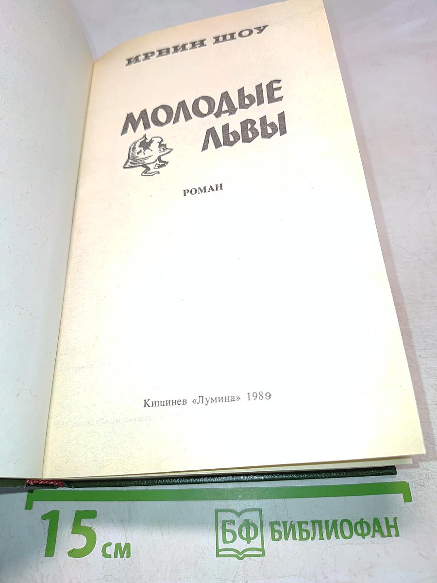 Молодые львы