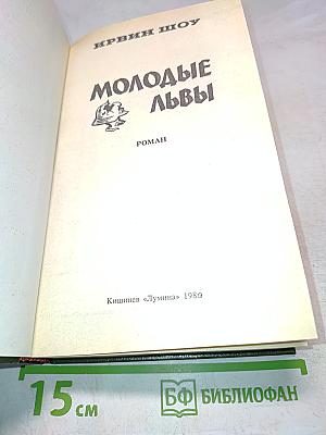 Молодые львы