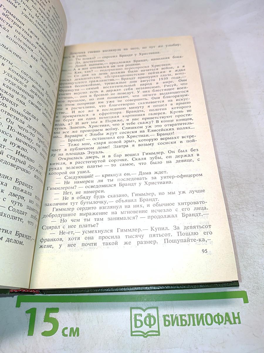 Молодые львы