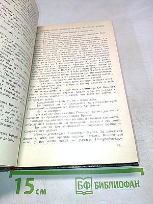 Молодые львы