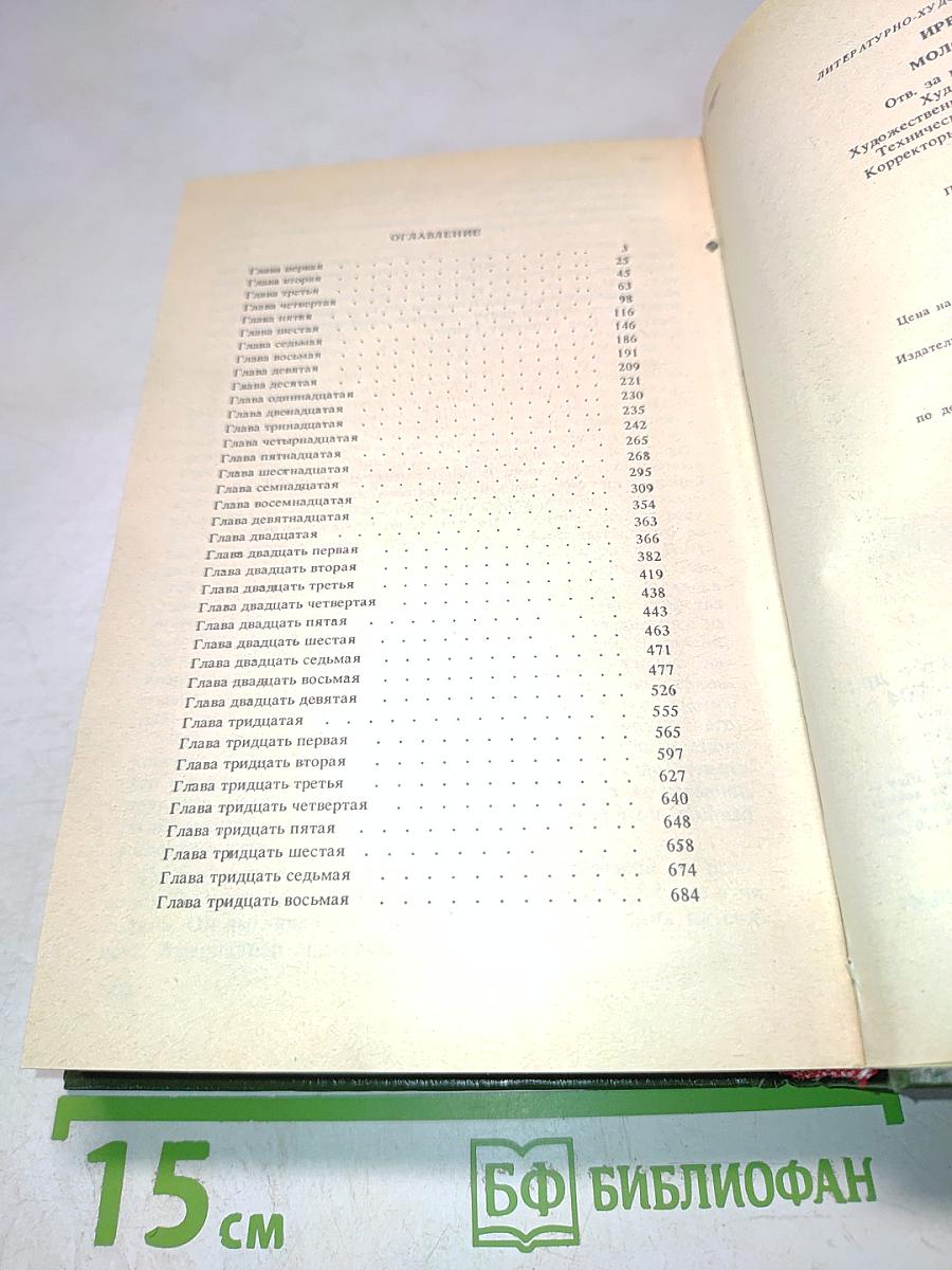 Молодые львы