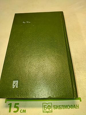 Молодые львы