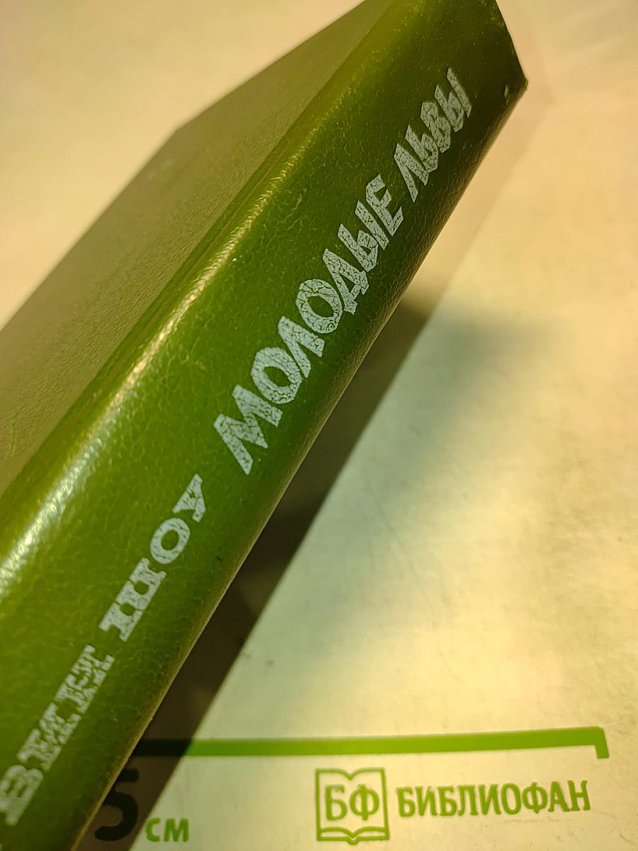 Молодые львы