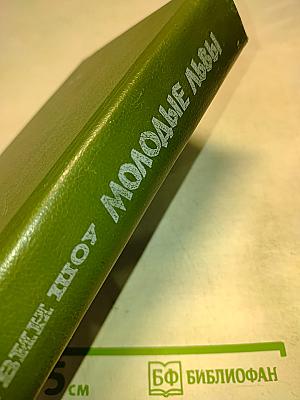 Молодые львы