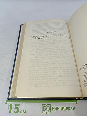 Любовь без правил