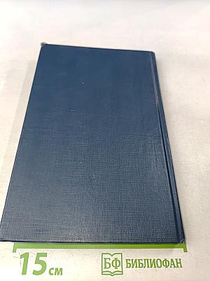 Любовь без правил