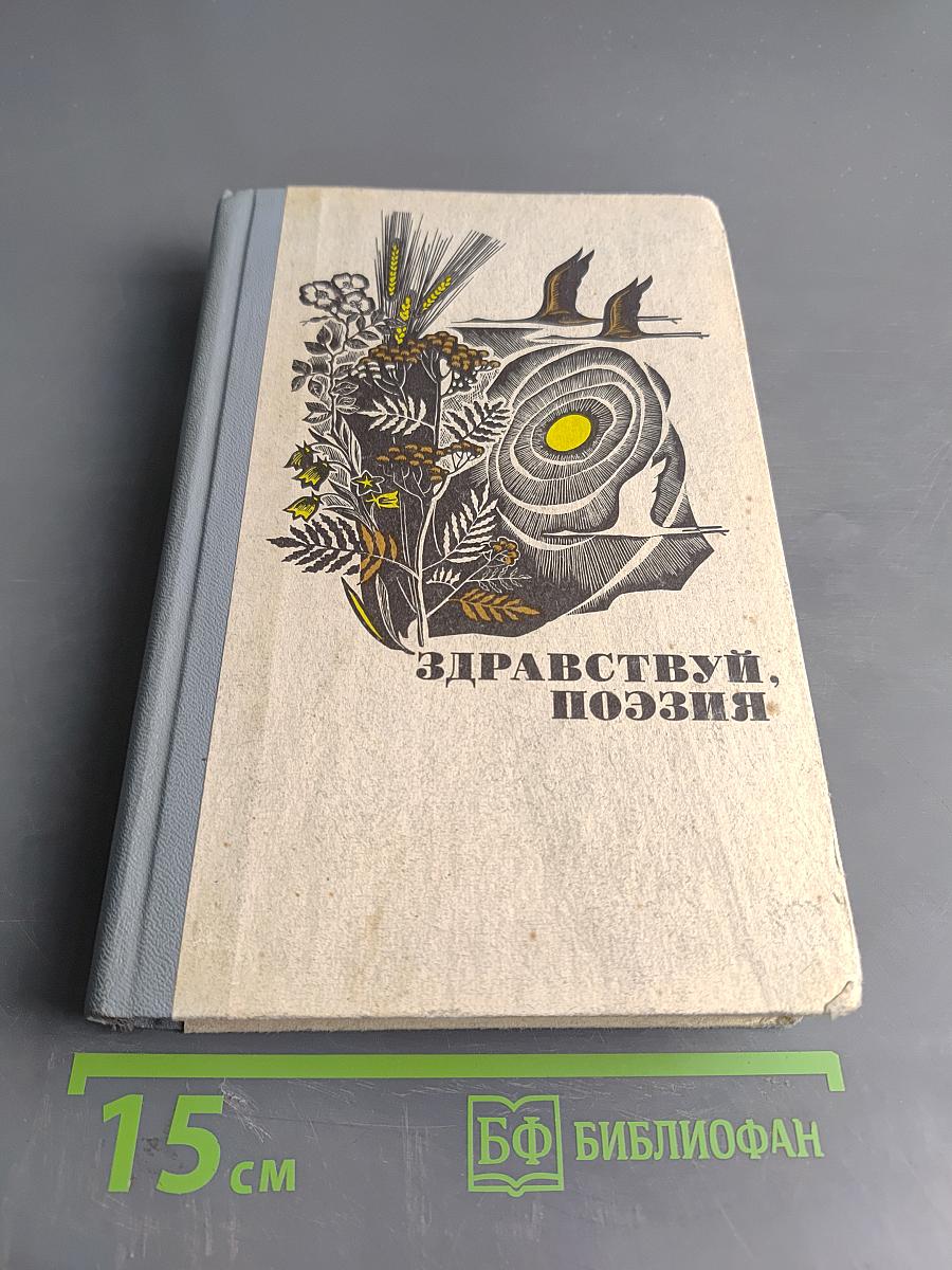 Здравствуй, поэзия