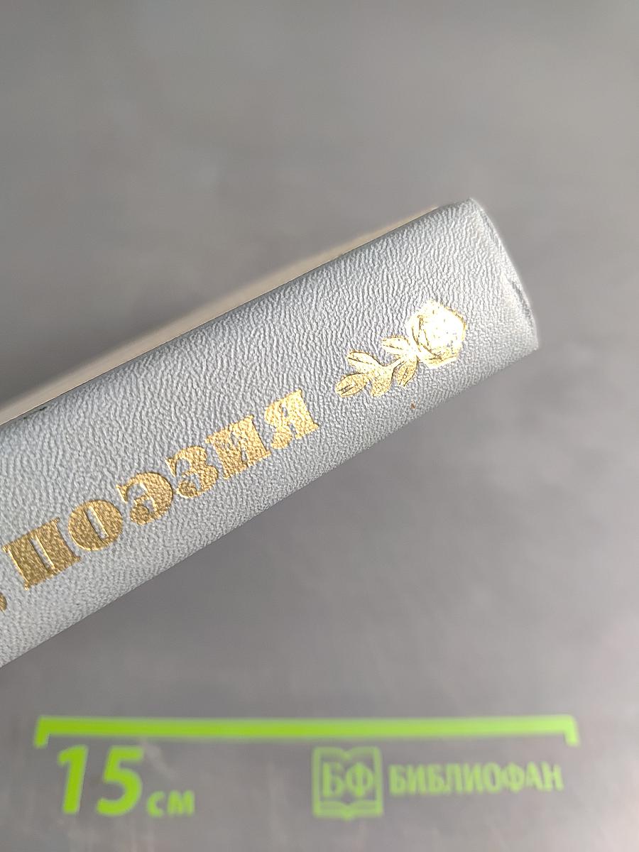 Здравствуй, поэзия