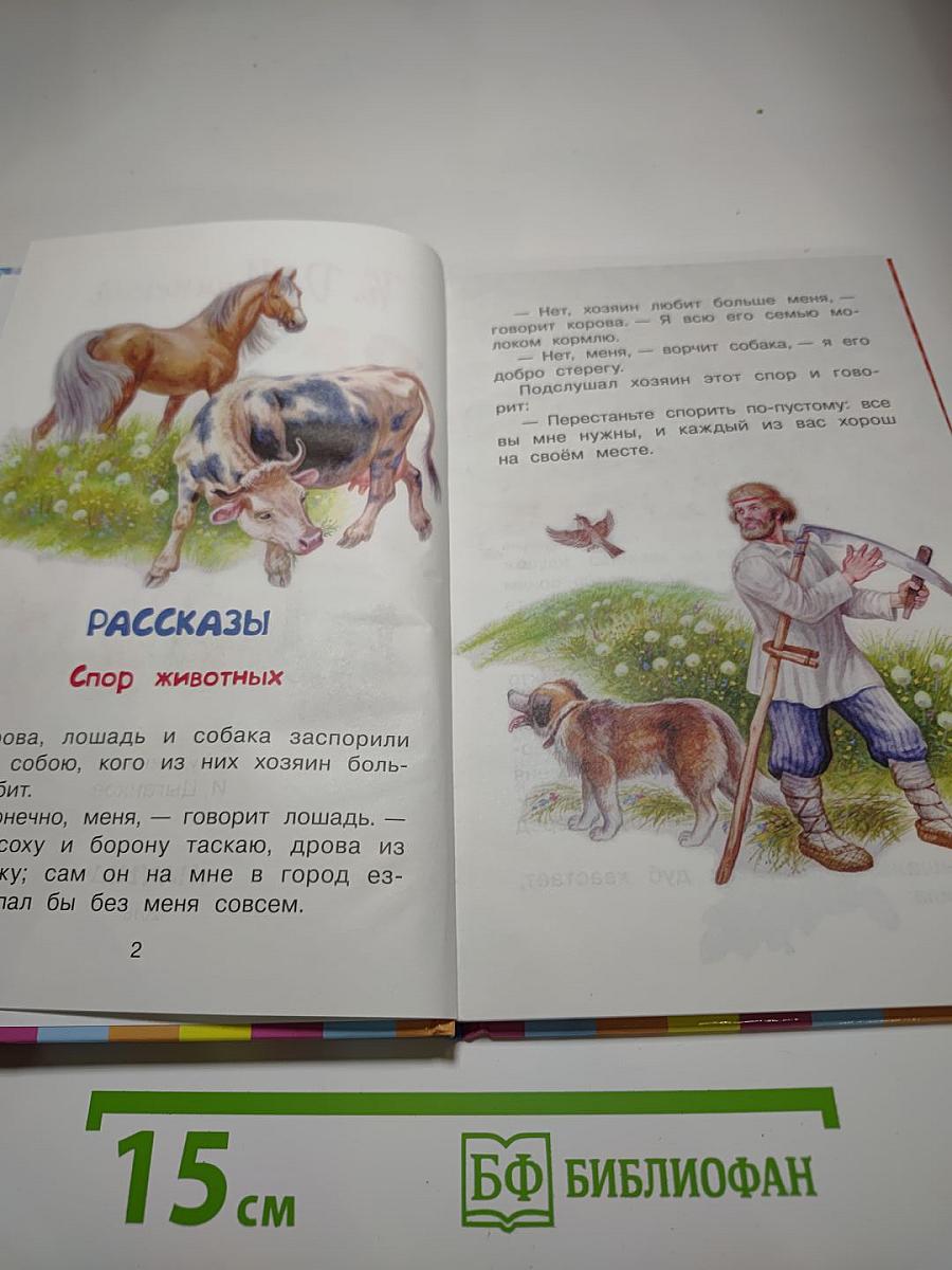 Рассказы и сказки