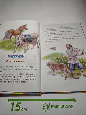 Рассказы и сказки