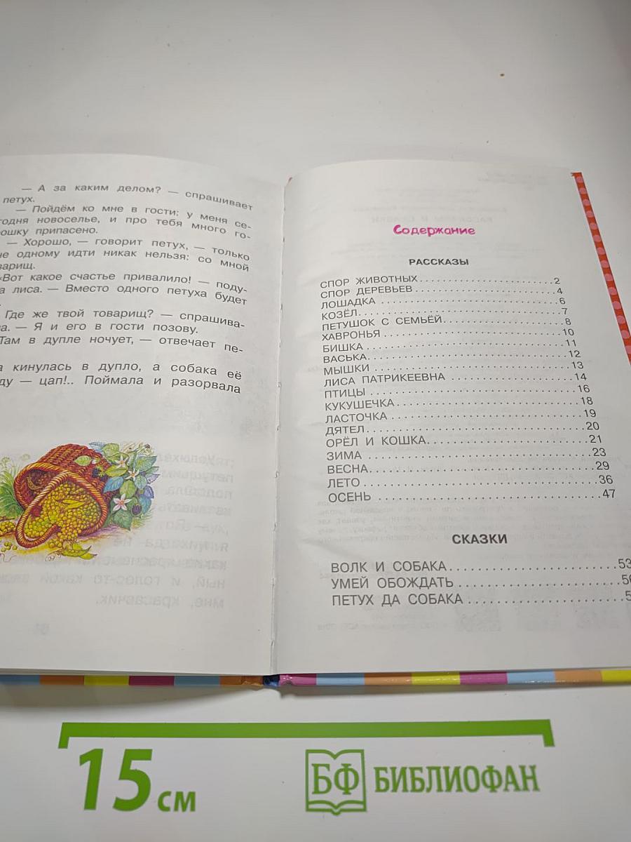 Рассказы и сказки