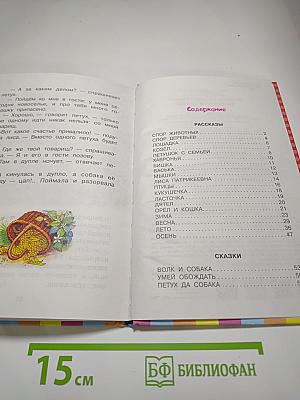 Рассказы и сказки
