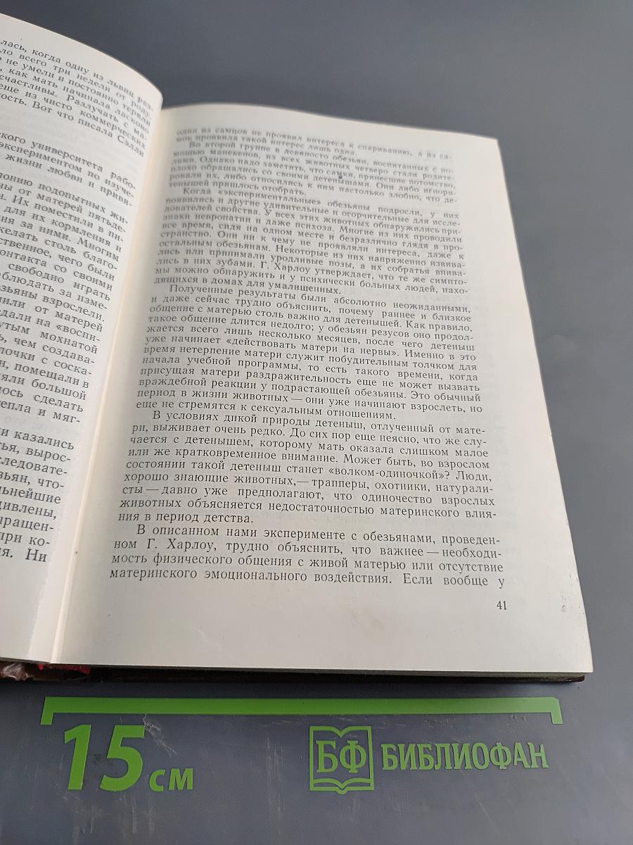 Пятнистый сфинкс. Пиппа бросает вызов