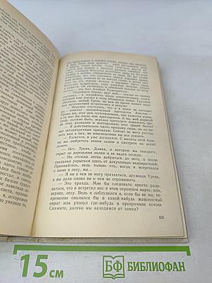 Графиня Рудольштадт