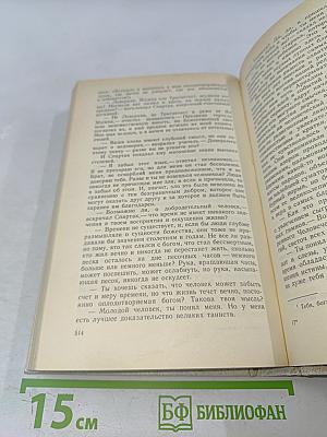 Графиня Рудольштадт