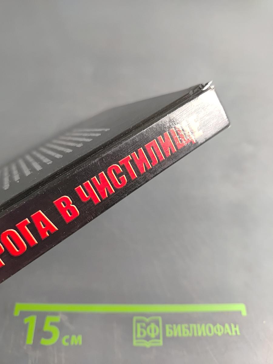 Дорога в чистилище