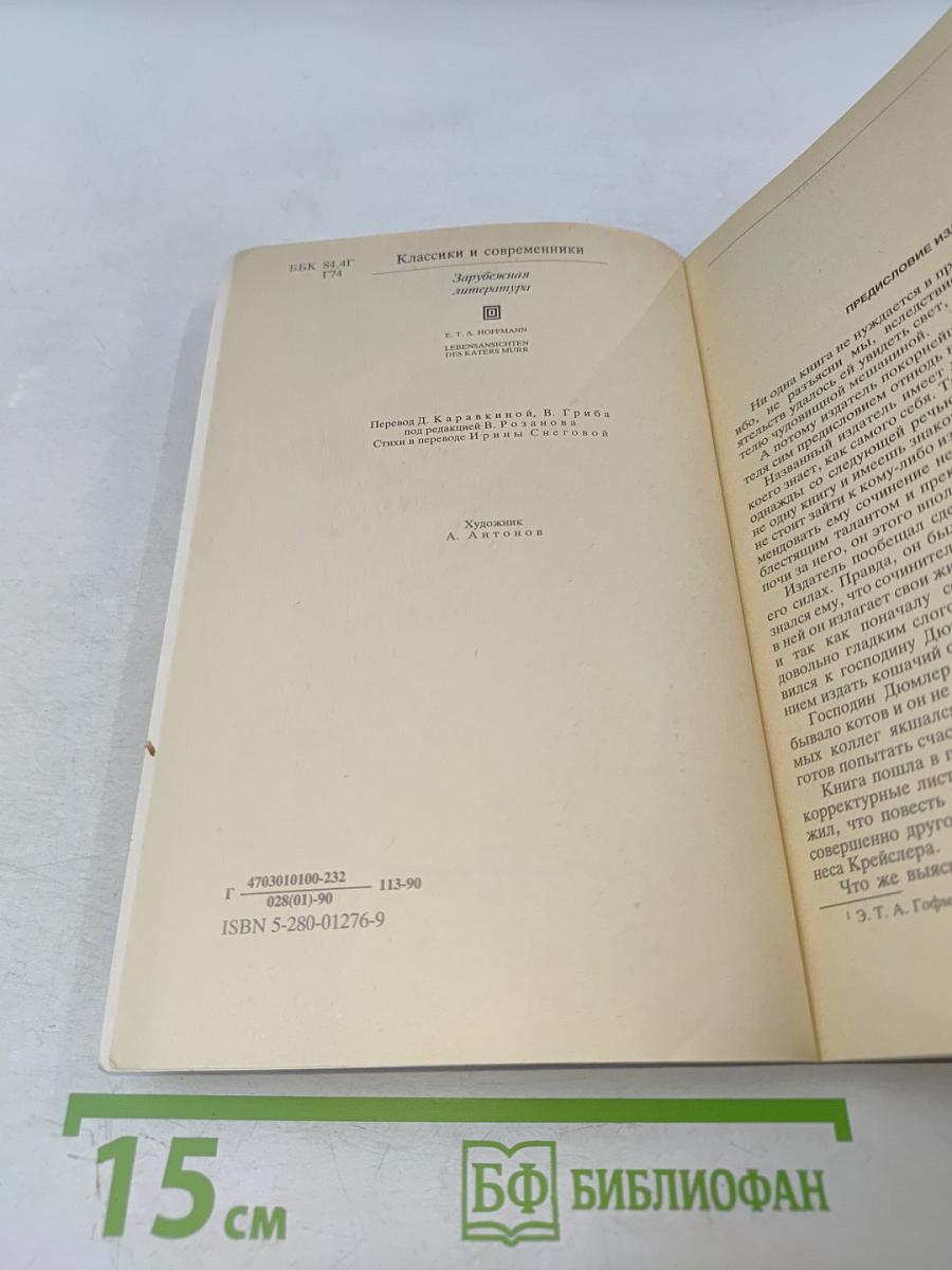 Житейские воззрения кота Мурра