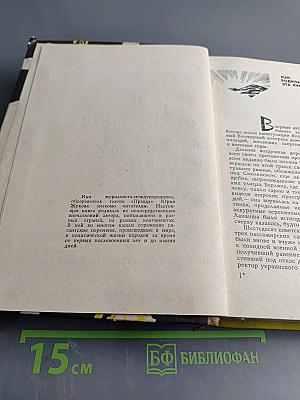 Эти семнадцать лет...