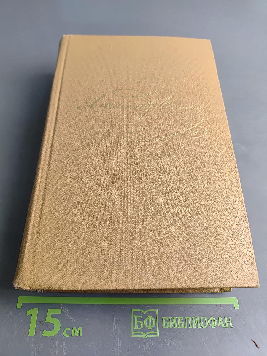 Полное собрание сочинений в десяти томах. Том десятый. Письма