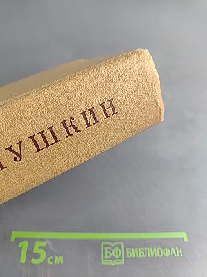 Полное собрание сочинений в десяти томах. Том десятый. Письма