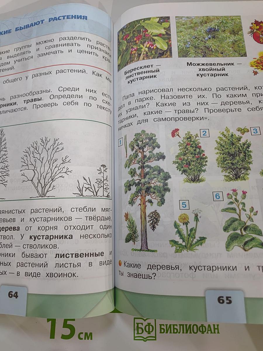 Окружающий мир 2 класс. Часть 1