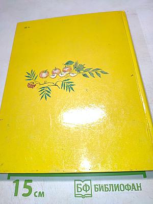 Звёздочка. Книга для внеклассного чтения во 2 классе