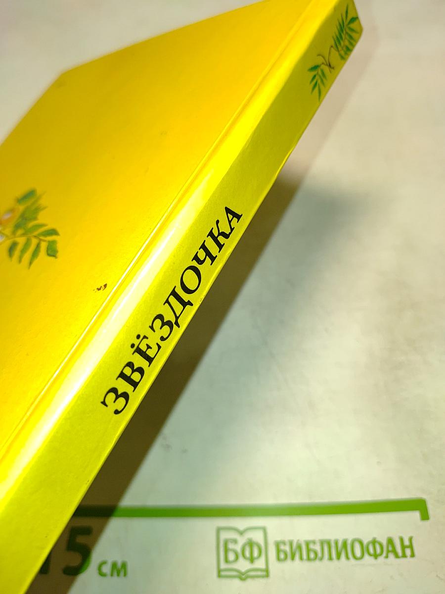 Звёздочка. Книга для внеклассного чтения во 2 классе