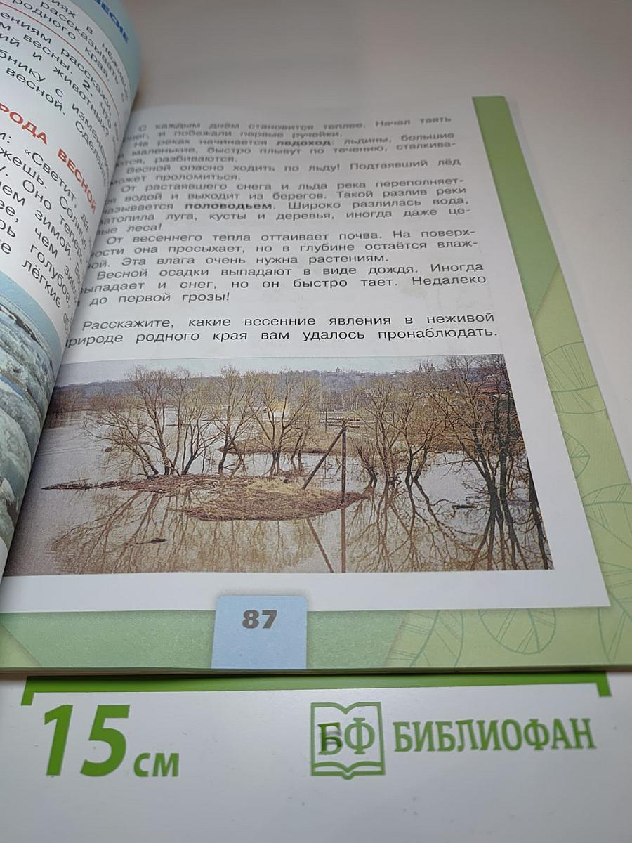 Окружающий мир 2 класс, Часть 2