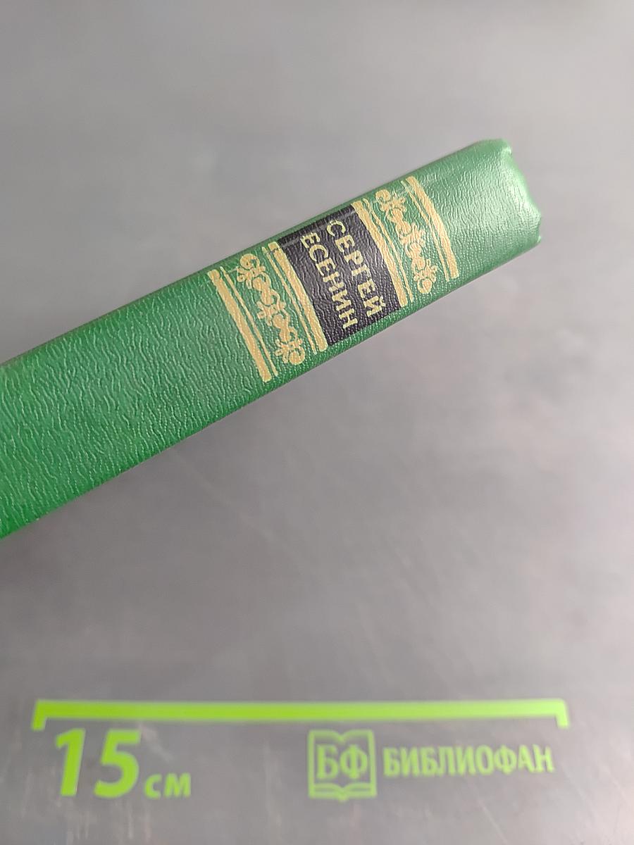 Собрание сочинений в двух томах. Том 2. Стихотворения, проза, статьи, письма