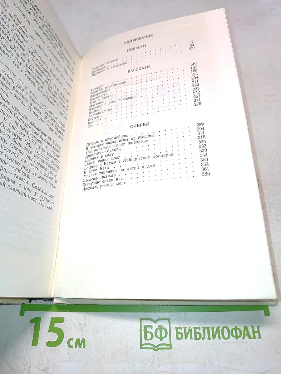 Человек, река и мост