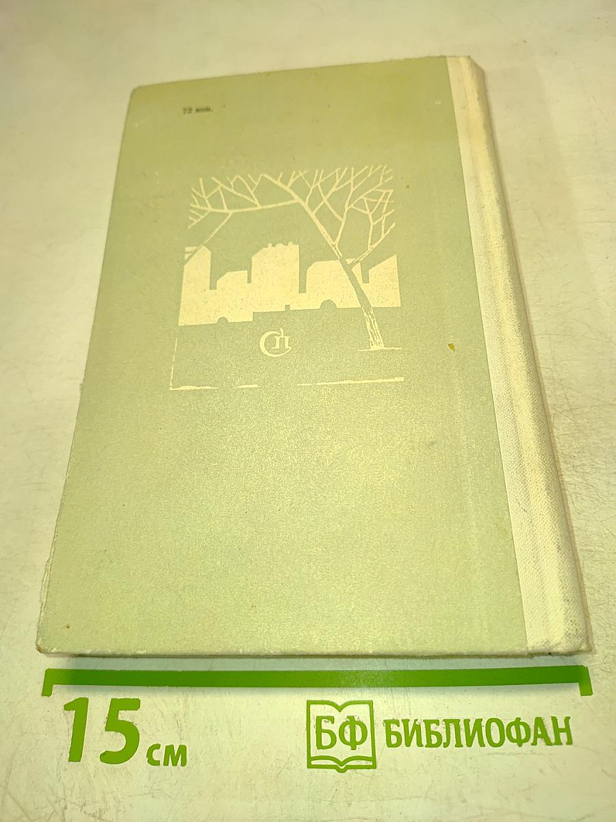 Человек, река и мост