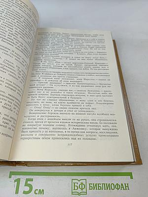 Анжелика и Рескатор. Анжелика в новом свете. Книга 5