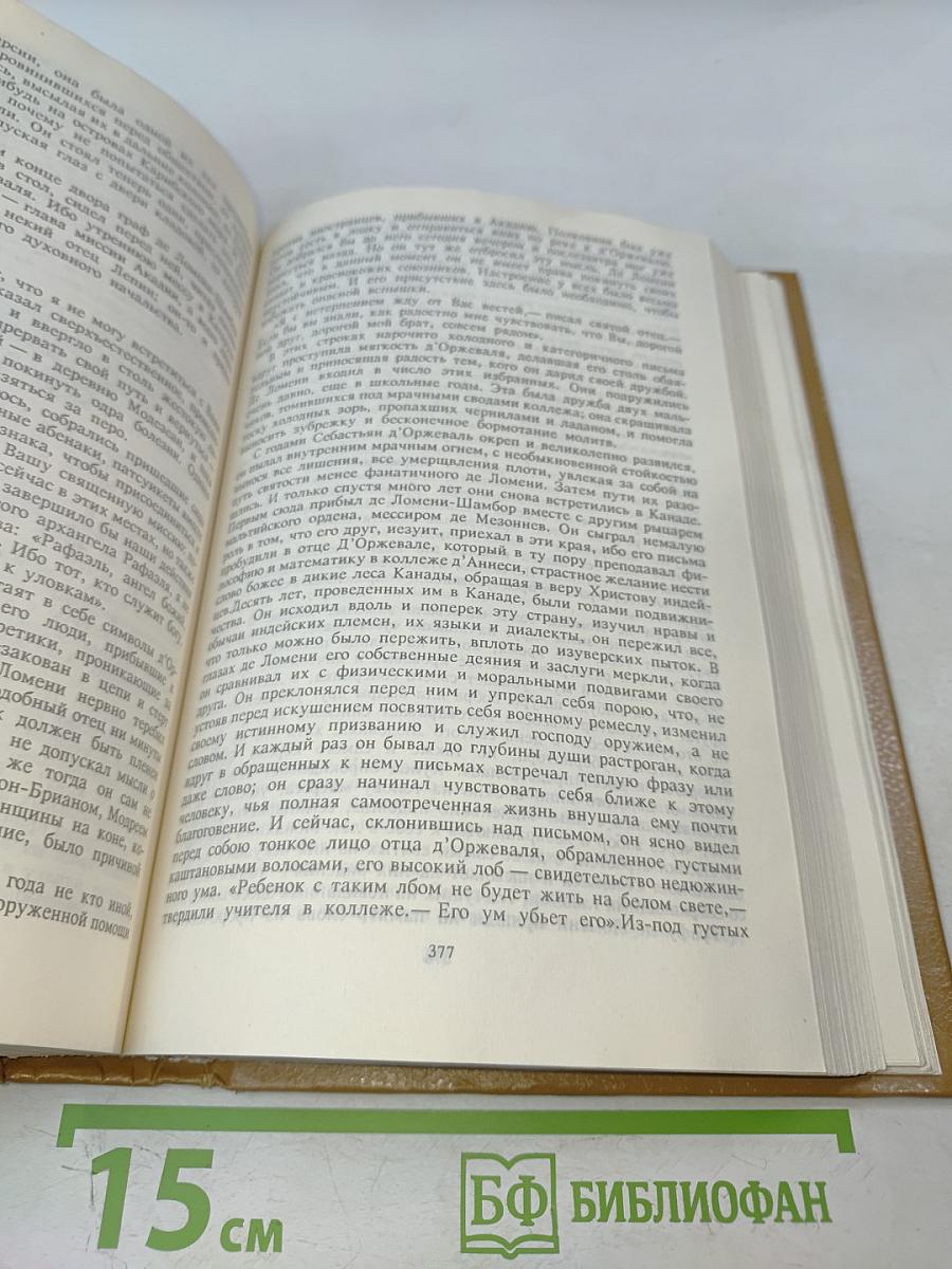 Анжелика и Рескатор. Анжелика в новом свете. Книга 5