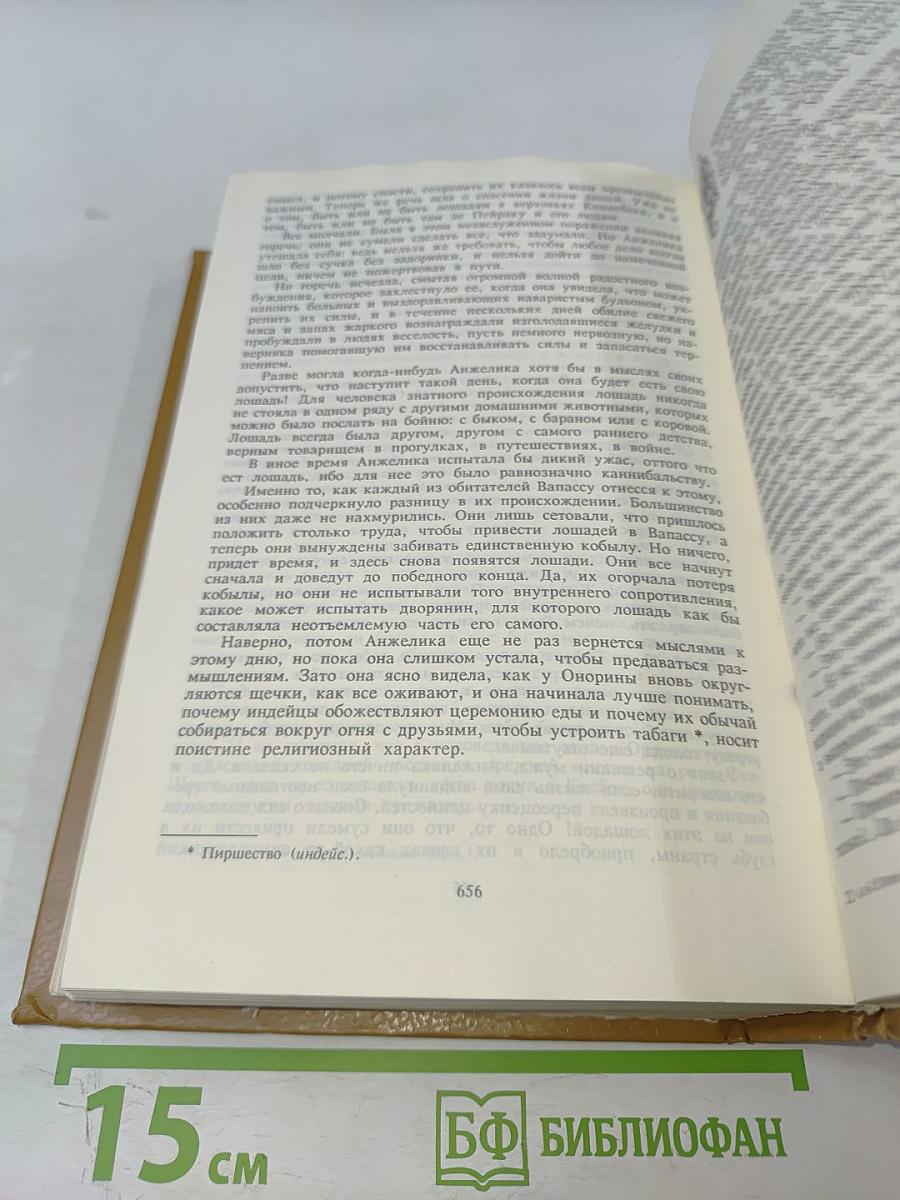Анжелика и Рескатор. Анжелика в новом свете. Книга 5
