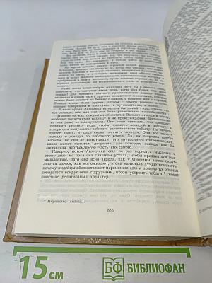 Анжелика и Рескатор. Анжелика в новом свете. Книга 5