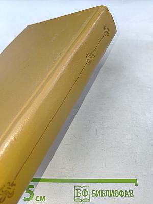 Анжелика и Рескатор. Анжелика в новом свете. Книга 5