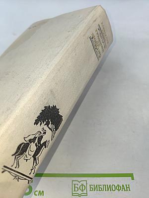 Графиня де Монсоро