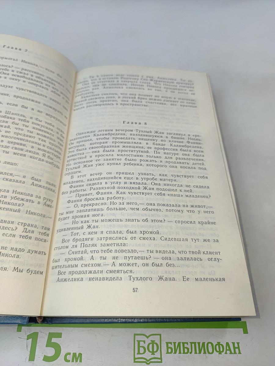 Путь в Версаль. Анжелика и король